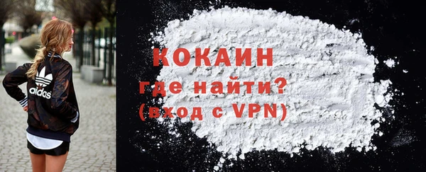 МДПВ Пересвет