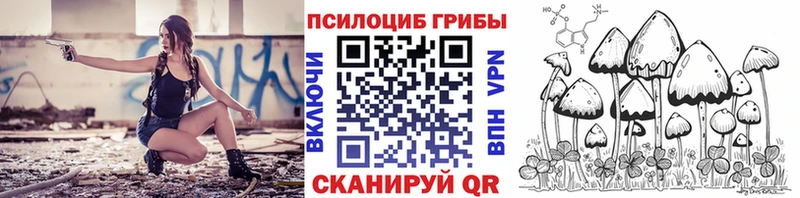 Галлюциногенные грибы Psilocybine cubensis  цены наркотик  Крым 